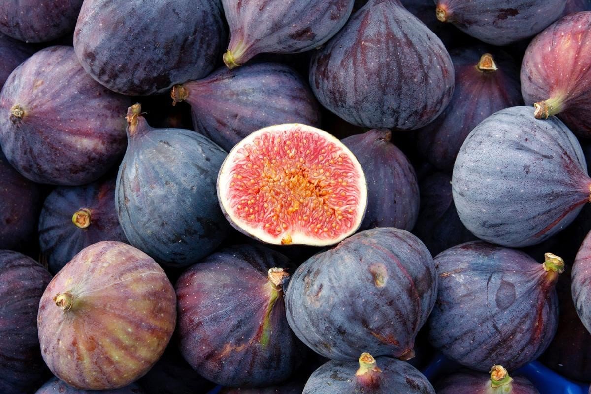 "Soaked figs in a bowl – morning skincare remedy"